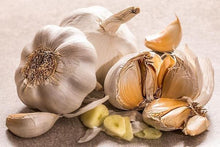 Load image into Gallery viewer, Original Garlic Aioli