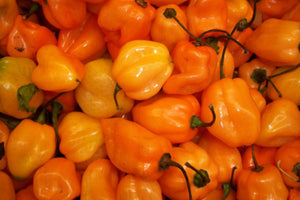 Habanero Agave Agrodolce